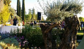 Bodas Finca el Feligrés (Arganda del Rey) - Maestro de ceremonias