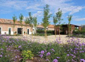 Bodas Finca las Tenadas - Maestro de ceremonias, oficiante bodas civiles