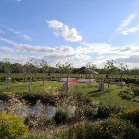 Bodas en Soto de Mónico - Maestro de ceremonias, oficiante en bodas.